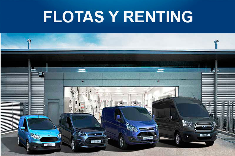 Flotas y Renting