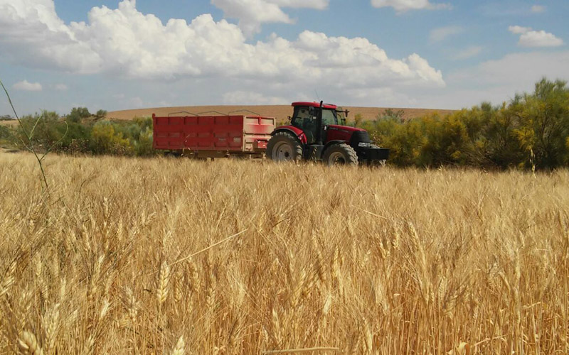 Taller Agricola Zuera